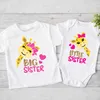 Família combinando roupas irmãs mais velha irmão mais novo família combinando roupas girafa impressão meninos meninas camisetas crianças garra roupas de manga curta D240507