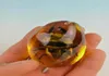 Rare Amber Beetle Amber Beetle Pendant0123456789105122697