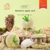 Speelgoed Hamster Tanden slijpende stok Apple Core Snack Kleine Golden Draadbeer Tanden slijpen Stone speelgoed Speciale landschapsarchitectuur benodigdheden