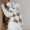 Casas Design de luxo Roupas de gato Princesa gato doce casaco quente camisola de cachorro pequeno colete de moda de estimação para chihuahua yorkshire