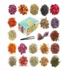 20 сушеных цветов Натуральные высушенные цветочные травы для мыла для мыла для ванны включают в себя розовую Petalsrosebudliumjas3029098