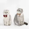 Häuser Bowtie für Katzenhundfliege Biegekragen Schwarz Rot verstellbarer Hunde Smoking Halsband Haustier Hochzeit formeller Smoking Anzug Outfits Geburtstag Kostüm