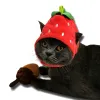 Vêtements drôle de chapeau de compagnie de compagnie de compagnie de casse-tête photo adapté aux chats et aux chiens