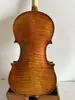 Master 4/4 Stradi Model Famed Maple Back Spruce Top Hand Made K3258