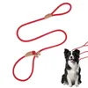 Colliers de chien Slip Rope Rope Anti-Wear Training Lashes High Strength Conforting Accessoires 1,5 M pour la course