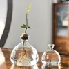 Vasi Avocado Tree Growing Kit Starter Seed Plan vetro Piatti con adesivi per interni Grow Gardening Regali