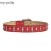 Ceintures de ceinture Pu ceinture avec boucle de papillon de diamant pour les amateurs de mode jeans jupe 360