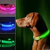 Haustierhund LED Glühen Kragen USB wiederaufladbar Nachtlicht leuchtend blinkende Halskette Antilost Outdoor Wandersicherheit Accesorios 240508