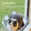 Katbedden meubels kat hangmat schattige staart drijvende kattennest in de zomer bezet geen beker zuigkat klimframe raam glas hangende zon d240508