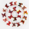 3pcsfridge Magnets Classic Colors Butterfly Toys Toys Fridge Magnet الثلاجة المغناطيس