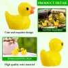 Miniaturen 100 van de Mini Resin Ducks Tiny Ducks Miniature Animal Figures for Diy Craft Micro Landscape Garden Aquarium Dollhouse Decoratie