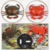 Smart Inteligente RC Robot Crab Toy With Eye Flash Light Simulation Sound Model High Design Toy Classic 240506