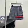Herren Plus-Size-Shorts 2024 neue Strandhosen offizielle Website Synchronous komfortabler wasserdichte Stoff Herrenfarbe: Bildfarbe Code: M-XXXL GE4W56