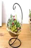 S Großhandel runde Kugel mit einem Loch Hydroponische Pflanzenblume Hängeglas Vase Behälter Haus Ornament Vase Pflanzer Töpfe Gard2314312