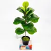 Flores decorativas 35/50cm Artificial Green Ficus Tree Branch Home Garden Sala de decoração de plástico vara