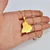 Colliers pendants en acier inoxydable Inde Punjab State Map Chain Collier pour hommes Femmes Bijoux vintage Cadeau