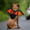 Hundekleidung Katzenfledermausflügel Kostüme Verstellbare Halloween -Haustierkatzen schwarz für kleine Hunde und mit