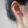 Stud S925 Boucles d'oreilles en or plaqué en argent en argent sterling adaptées aux femmes Diamond Zirconie Température de fleurs transversales Nouveaux bijoux Q240507