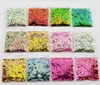 Nagelglitter 10gbag mixgrootte 3 mm 4 mm 5 mm vierpunts sterren kameleon holografische ster voor het Poolse decor pailletten cpd102653952106