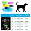 Haustierhund LED Glühen Kragen USB wiederaufladbar Nachtlicht leuchtend blinkende Halskette Antilost Outdoor Wandersicherheit Accesorios 240508