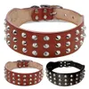 Colar de cachorro de couro cravejado de cães para cães médios pequenos Bulldog Antibite Antibite Puppy Pescoço Collares Acessórios para animais de estimação 240508