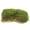 Decoratieve bloemen gesimuleerde mosblok realistische turf micro landschap decoratie ambachten kunstmatige gras nep