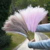 Decorative Flowers Wreaths Small Artificial Pompas Grass Decor for Vase10PCS Faux Pampas Grass BeigeFake Fluffy Floral for Wedding Boho Decor fleur