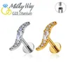 Stud Fashion Nose G23 Titanium Earrings Salix Leaf Labret Lip Ring Sexy Spiral Perforated Jewelry Gothic Accessories Q240507