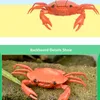 Smart Inteligente RC Robot Crab Toy With Eye Flash Light Simulation Sound Model High Design Toy Classic 240506