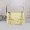 Top Borse Bags Luxuries Designer Women Borsa Custom Brand Borse Women's Leather Gold Chain Gold Crossbody Bianco Pink CHA007