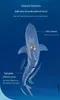 Marin kamera ubåtelektrisk haj med fjärrkontrollkamera 30W Högupplöst RC Toy Animal Swimming Pool Toy Childrens Boat 240424
