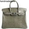 End High Handbag Platinum Crocodile Pi Nile Crocodile 25 30 35 Sacs Bags pour femmes faites à la main en cuir authentique