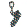 Bow Ties Printing Process Simulation Silk Polyester Fabric Fashionable Retro Men's Tie Feels Silky And Smooth Neckties
