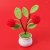 Decorative Flowers Crochet Fruit Artifical Plants Hand Knitted Potted Fake Persimmon Home Table Decoration Small Creative Gift
