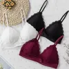 Bras Lace Triangular Coaster Bra Womens Broidered Hollow Underwear Sexy Floral Deep V Bra Scrouss Scail
