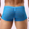 Sous les calendriers Men's Sexy See Through Samless Boxer Briefs Low Wison Sous -wear Shorts Trunks SémitRansparent Hollow Lingerie