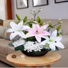 Dekorativa blommor Lily Flower Ornamental Pot Set