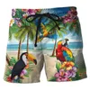 Herren -Shorts Papagei 3D bedruckte kurze Hosen für Männer Kleidung Hawaiianer Toucan Beach Bird Board Ramphastidae Bermudas