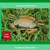 Smart Intelligent RC Robot Crab Toy With Eye Flash Light Simulation Sound Model High Design Classic Toy 240506