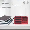 Haut-parleurs portables en haut-parleurs de téléphone portable Radio Portable FM MP3 USB Bluetooth Wireless haut-parleur prend en charge la carte Solar Charge TF USB Music Player avec FM Radio Receiver WX