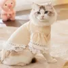 Camisa de fundo de moda de vestuário para cães, roupas macias e macias de renda fofa de luva voadora de luva de animais de estimação de gatinho de gato fantasia