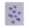 30 Stücke natürlicher Vergessenmännungen echte getrocknete Blumen Verzierungen Nagelkunstzubehör für DIY -Telefonhülle Harz Orament7704713