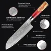 Damascus Santoku Knife 7 inch VG10 Steel Razor Sharp Kitchen Knife Japanese Chopping Knife Meat and Vegetable Cooking Knife