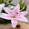 Dekorativa blommor Lily Flower Ornamental Pot Set