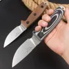 ESEE-3 Top-Qualität ESEE-3 Rowen Überleben Gerade Messer D2 Stahlblatt Full Tang G10 Griff feste Klingenmesser 2 Farben erhältlich