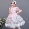 Детская юбка 2024 Весна Новая Женская Корейская версия платья детской принцессы Лолиты