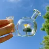 Mini -glas Bong Mushroom Percolator Filter Hookah Dab Rig Recycler Water Bongs Bubbler Dikke zware rookleidingen met 14 mm kom