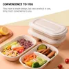 Loucaria de jantar descartável Caixa de salada de grade única alimentos descartáveis para papel Taçar almoço de embalagem Bandeja Q240507