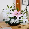 Dekorativa blommor Lily Flower Ornamental Pot Set