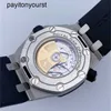 Designer Audemar Pigue Watch Royal Oak APF Factory Offshore Diver 15710st Silver Dial Mens